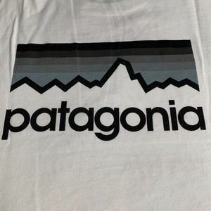 Patagonia Mountain Logo White tee XL